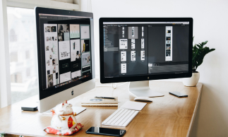 Website Management